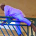 
Emeka Okpanku at Friday, November 21, 2014
National Assembly Members Turn
To Spidermen As Nigeria Police
Prevent Them From Entering
Assembly Complex