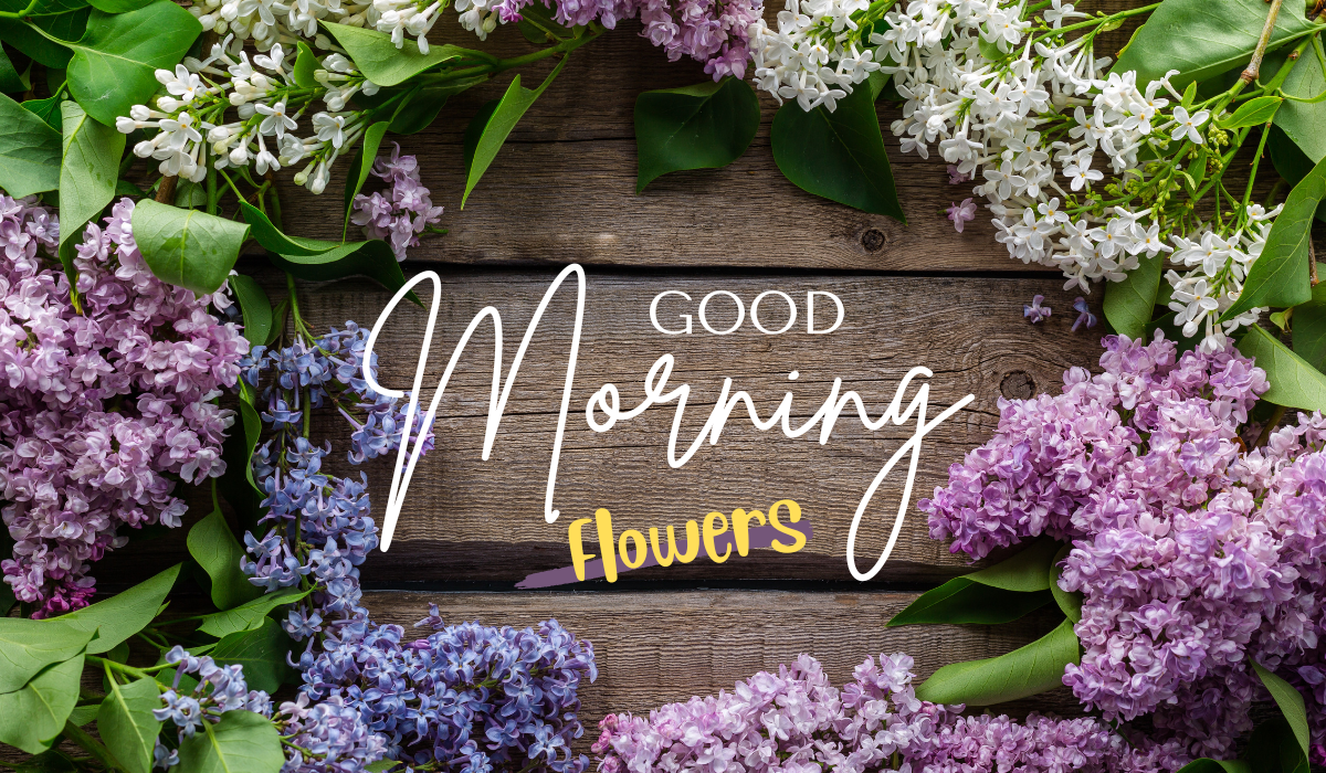 Good Morning Flowers to Send Loved Ones