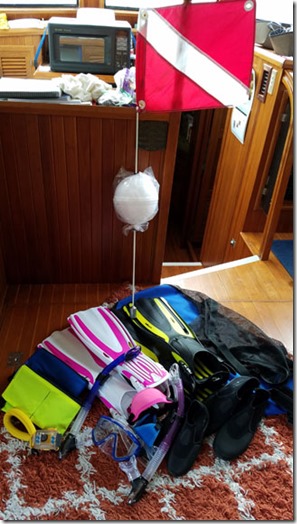 Snorkel gear