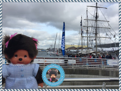 transat jacques vabre 2017 le havre monchhichi