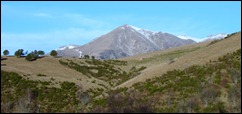 DSC00595