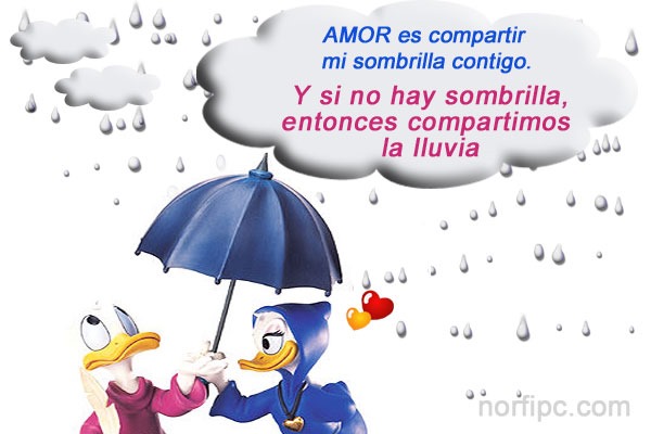 Amar es compartir mi sombrilla contigo y si no hay sombrilla… entonces compartimos la lluvia.