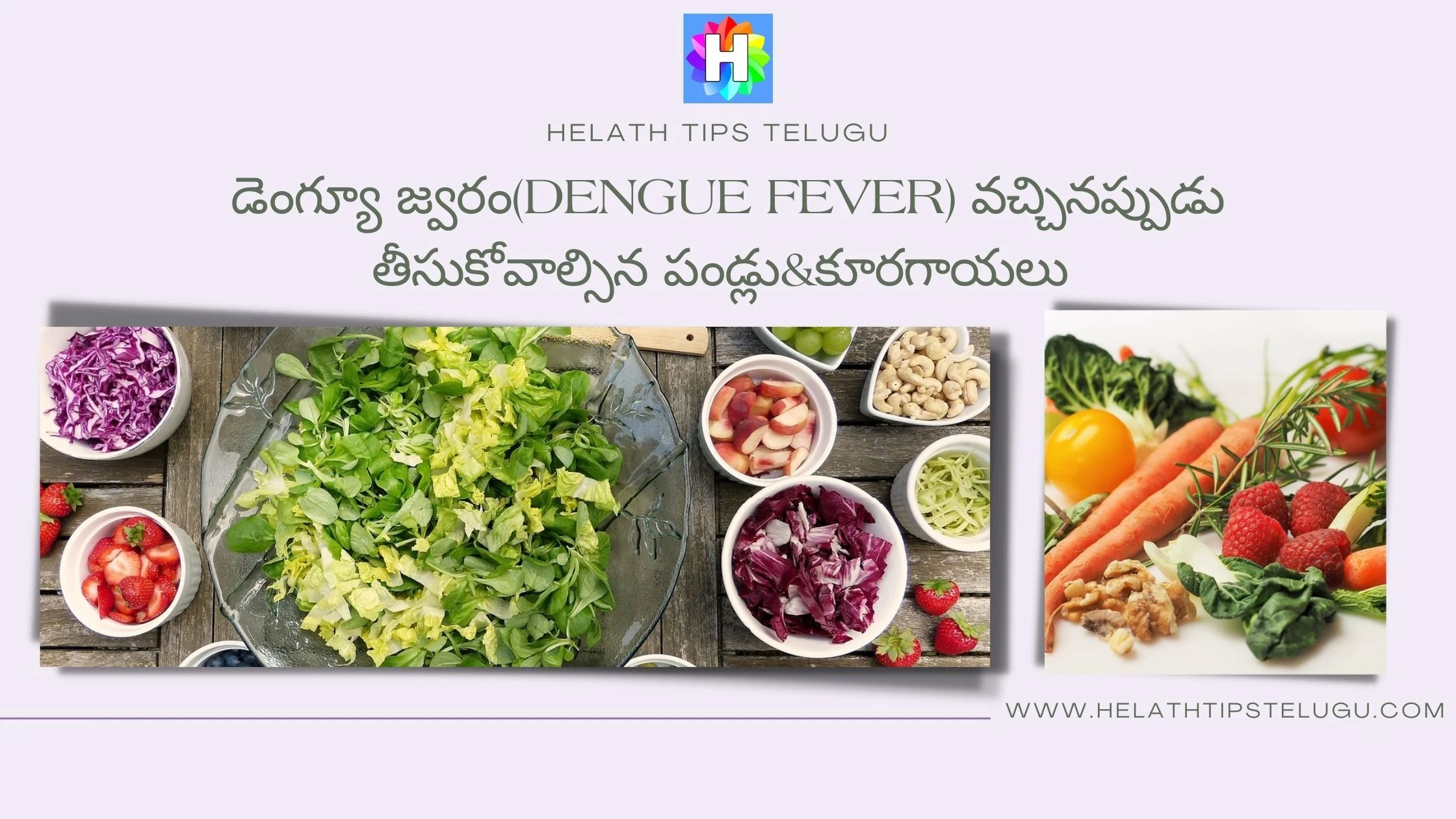 Dengue-fever-fruits