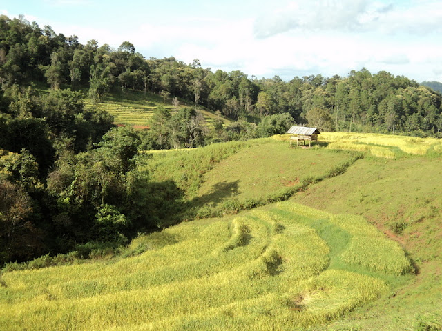 2 days trek doi pha ngam, trekking to pha ngam, trekking doi pha ngam, hiking doi pha ngam, doi pha ngam, pha ngam cliff, doi phan gam cliff, two seasons cliff, visit doi pha ngam