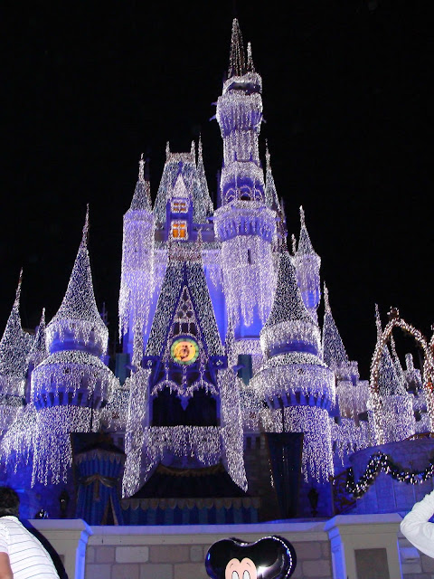 Cinderella Castle Dream Lights Christmas Magic Kingdom