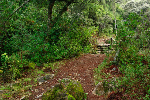 Sendero de la Cuesta de la Traición-El Villar (SL-A-91)