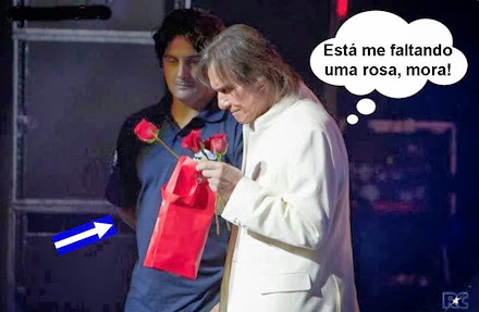 Roberto Carlos - O mistério das rosas roubadas nos shows