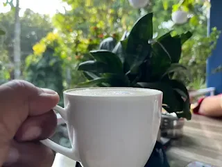 a hand holding a white cup with foam in front of a plant