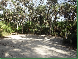 Bulow Creek &  Tamoka SP (20)