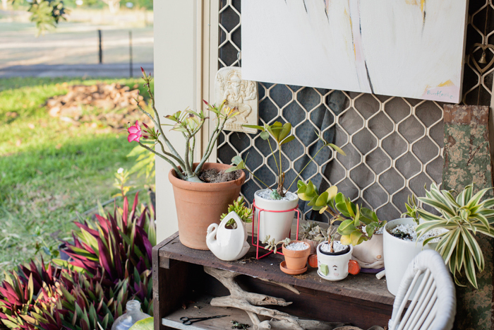 potted patio garden