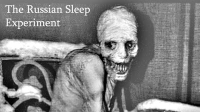 Image result for russian sleep experiment