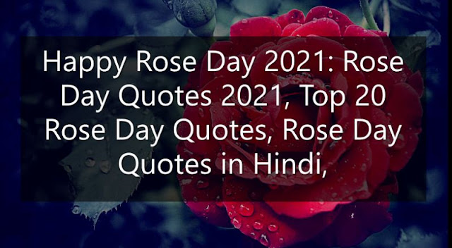 Happy Rose Day 2021: Rose Day Quotes 2021, Top 20 Rose Day Quotes, Rose Day Quotes in Hindi,