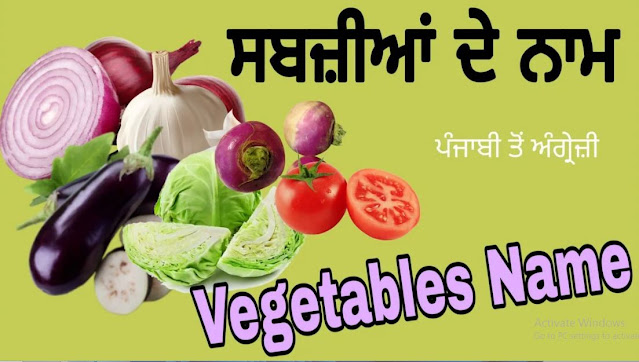 Vegetables Name Punjabi to English | ਸਬਜ਼ੀਆਂ ਦੇ ਨਾਮ ਪੰਜਾਬੀ ਤੋਂ ਅੰਗ੍ਰੇਜੀ ਵਿੱਚ