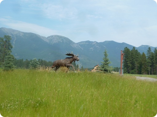 Kalispell, Somer & Flathead Lake 079
