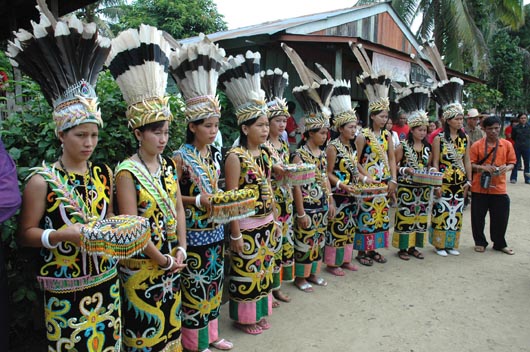 "Dayak Tribe"  Zona Indonesia