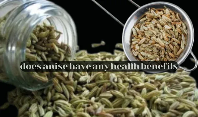 does anise have any health benefits