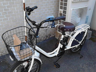 アウトレット　24019　PELTECH(ペルテック) 電動アシスト自転車 20インチ内装3段 TDN-207L ８AH　３３０００円