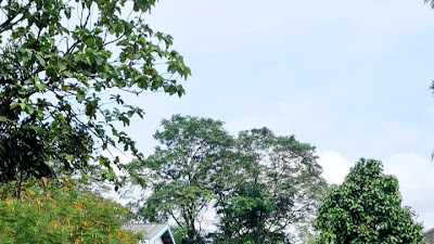 Demi Terjalinnya Hubungan Baik, Dirpamobvit Polda Banten Pimpin Langsung Patroli ke Mitra Obvitnas di PT Inti Cellulose Utama Indonesia