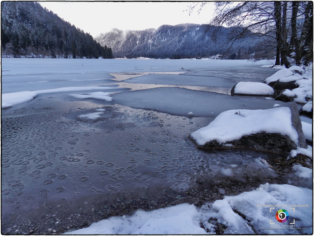 XONRUPT-LONGEMER (88) - Le lac de Longemer gelé !