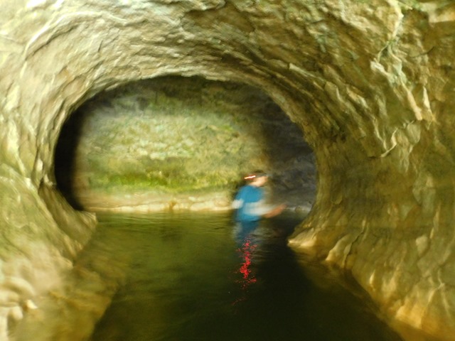 DSCN3715