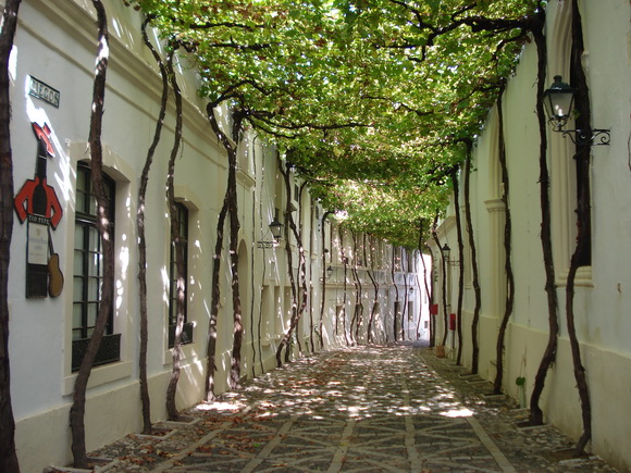 The World Geography 15 Charming Side Streets