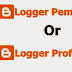 Perbedaan Blogger Pemula Dan Blogger Profesional