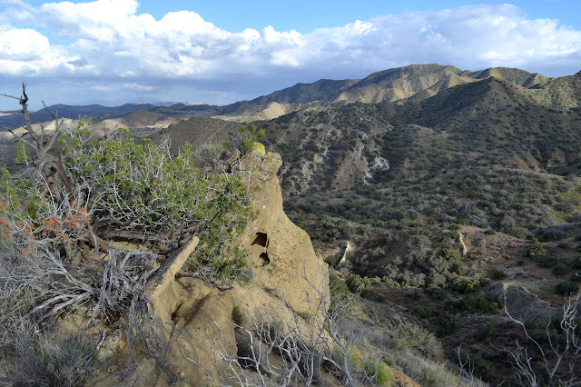 carvings by nature