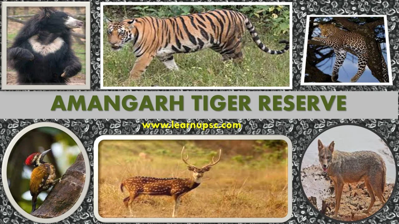 Amangarh Tiger Reserve