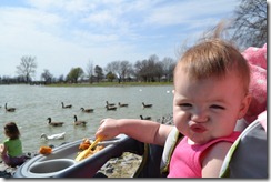 Feeding the Ducks 020