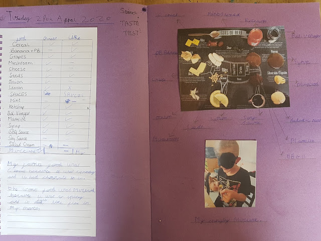 Scrap book with what food was liked and not liked and a labelled photo of all the foods and sauces.