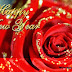 Animated Beautiful New Year Greeting Cards Design Image-Wallpapers-New Year Idea Card Photo-Pictures