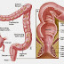 10 Fast Facts About IBS - Have Irritable Bowel Syndrome ? You Are Not Alone !