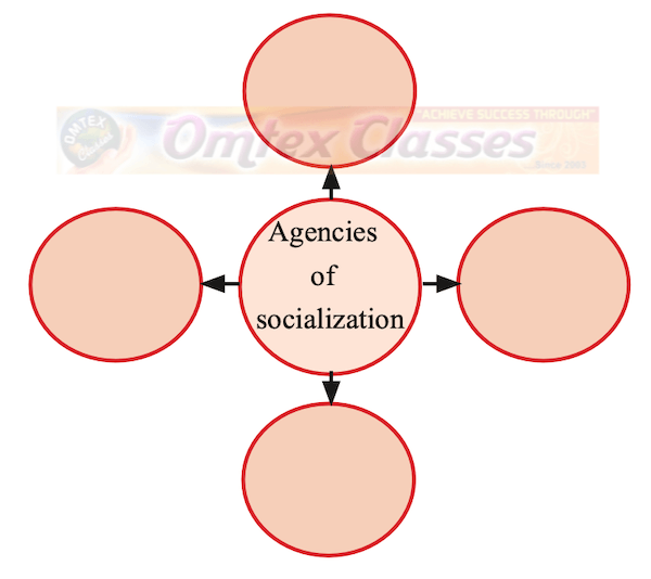 Chapter 6 - Socialization Balbharati solutions for Sociology 11th Standard Maharashtra State Board