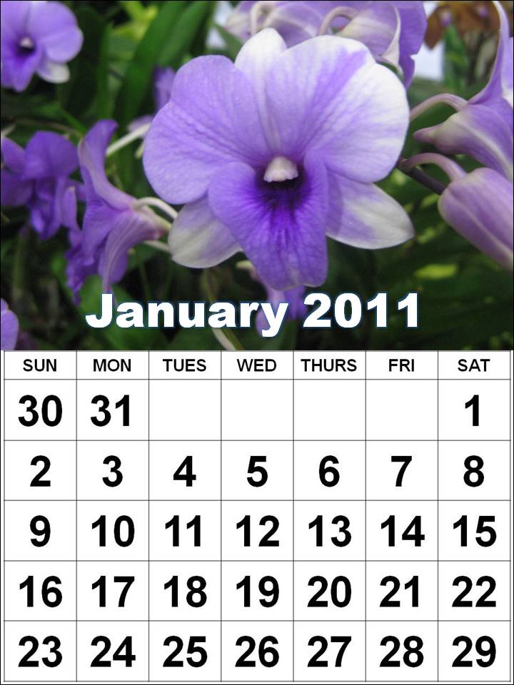 2011 calendar printable january. 2011 calendar printable
