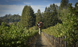 Best vineyards in Napa in St. Helena, CA