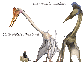 Hatzegopteryx y Quetzalcoatlus