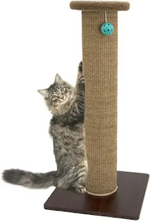 Best Scratching Post For Cats