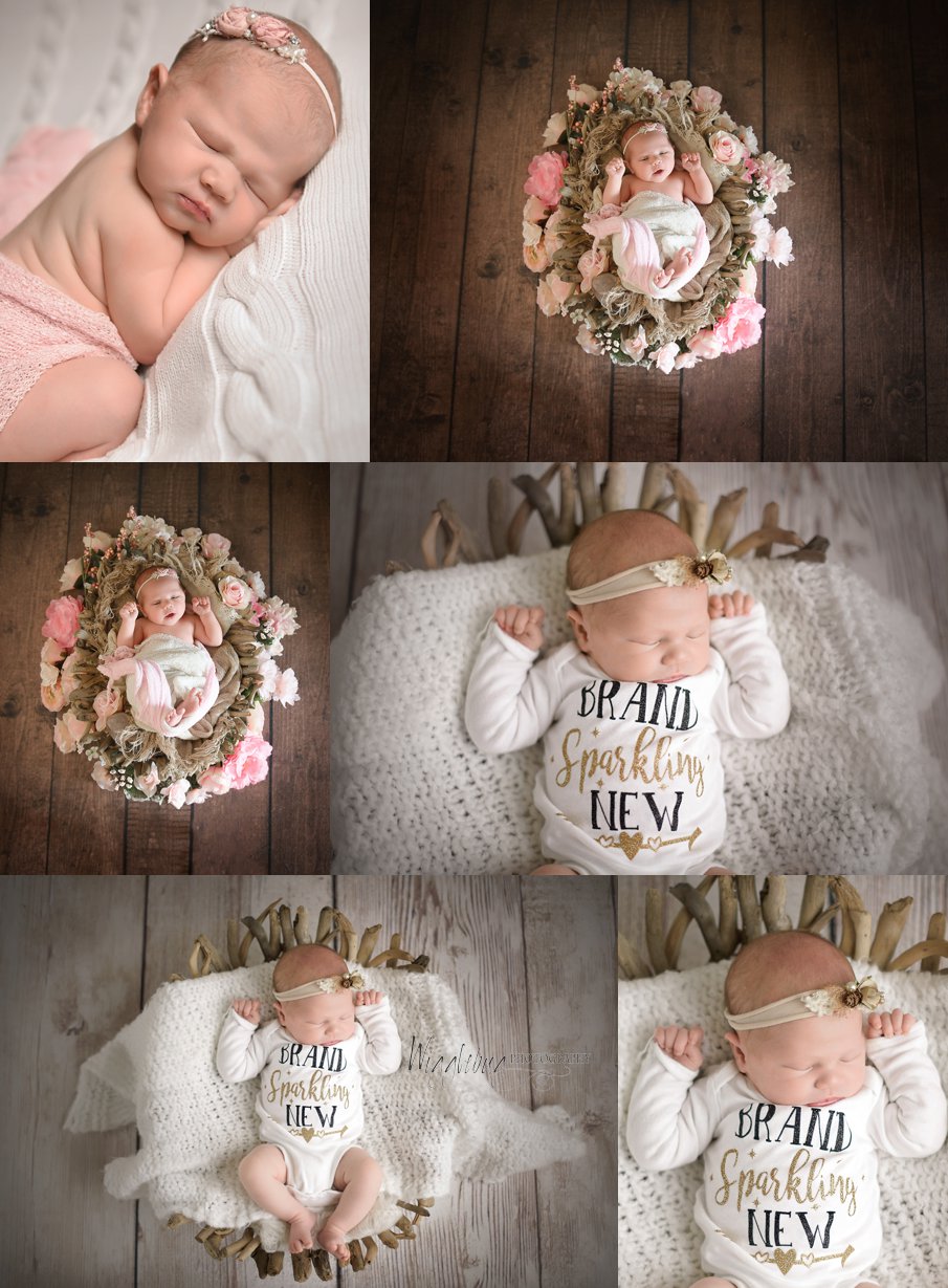 Newborn Baby Girl in soft pink with fresh tulips in DeKalb IL Photography Studio
