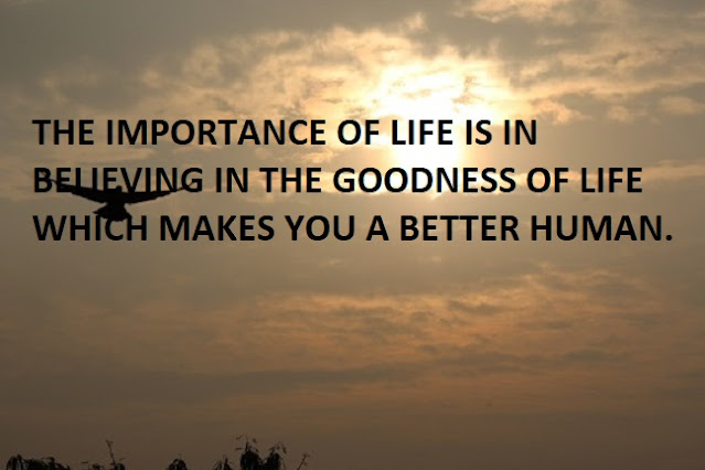 THE IMPORTANCE OF LIFE IS IN BELIEVING IN THE GOODNESS OF LIFE WHICH MAKES YOU A BETTER HUMAN.