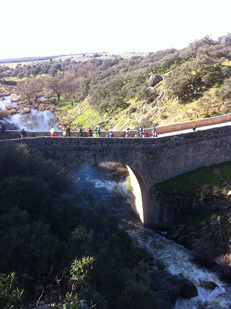 Unas fotos de nuestra ruta de Tres Cantos a Las Matas - Abril 2013