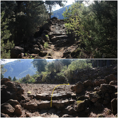 LA CALDERA DE LA OROTAVA (ZONA RECREATIVA) - LOS ÓRGANOS, pista Los Guanches