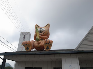 cat on top of building