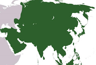 Continente Asiático - www.professorjunioronline.com