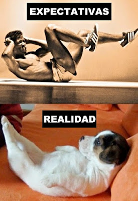 Expectativas VS Realidad: Los optimistas