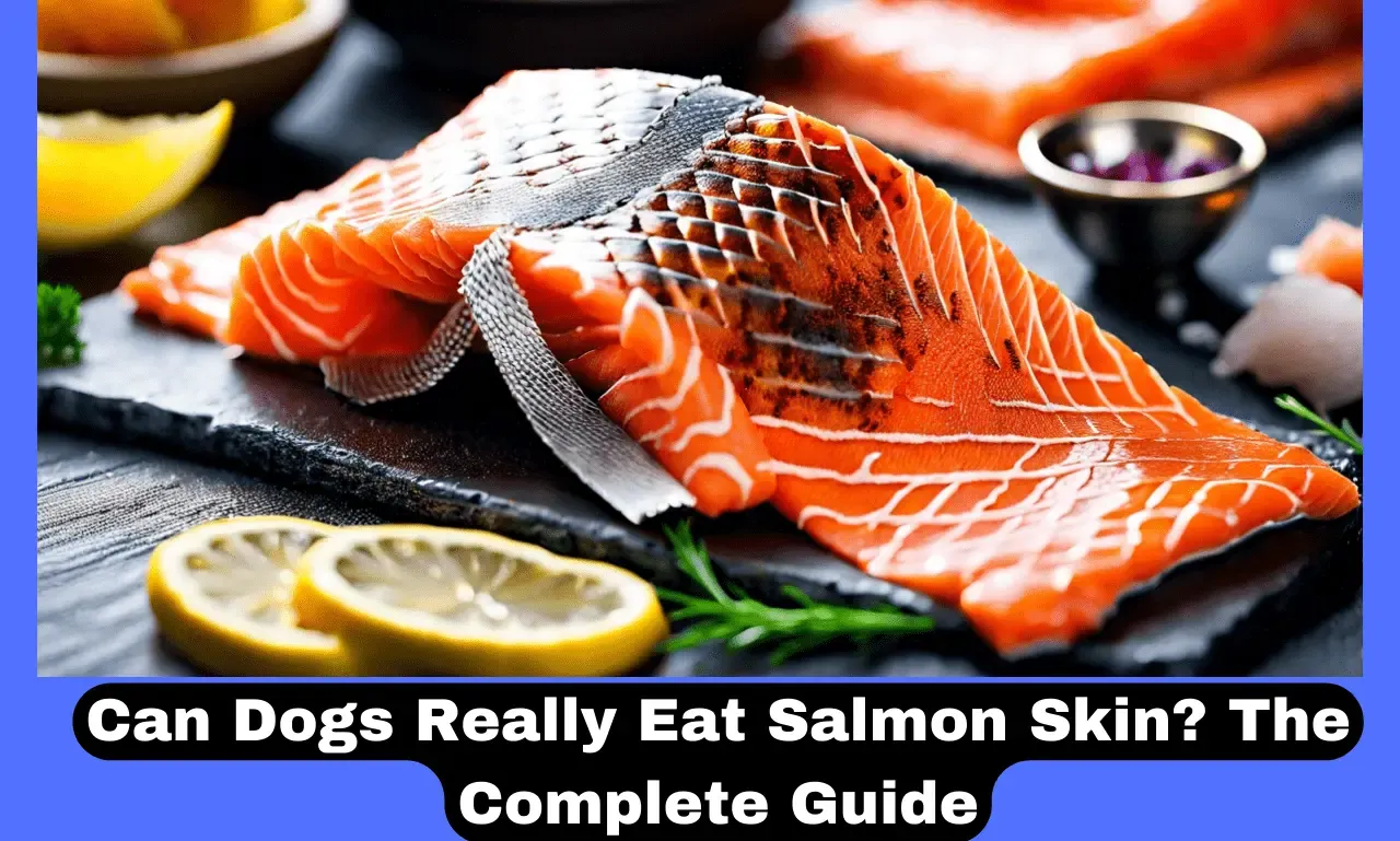 Can Dogs Really Eat Salmon Skin? The Complete Guide