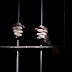 PORT ELIZABETH - PE COURT SENTENCES CONSTABLE TO 3 YEAR IN PRISON FOR ACCEPTING R100 BRIBE