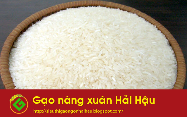 Gạo nàng xuân Hải Hậu