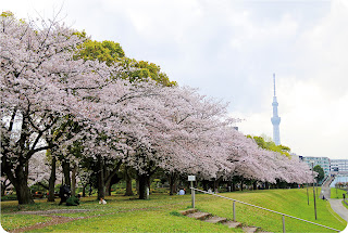 亀戸中央公園