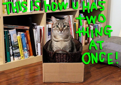 cat-in-box01