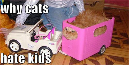 LOLCats - lol-cats